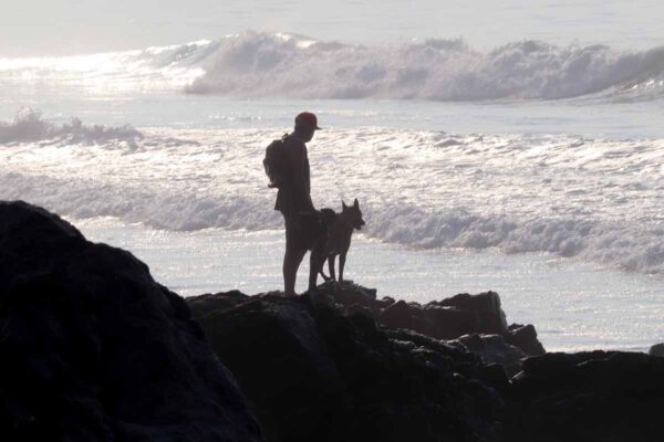 El duelo por la muerte de un animal: Reconociendo y aceptando el dolor ...